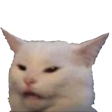 MemeSadWhiteCat emoji