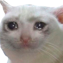 sadcat emoji