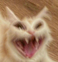 catgremlin emoji