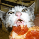 catpizza emoji