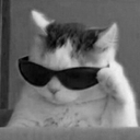 catcool emoji