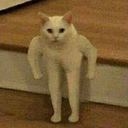 thot_cat emoji