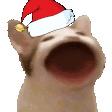PopCat emoji
