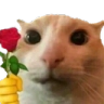 4703catrose emoji