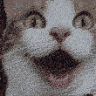 cat emoji