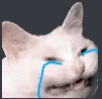crying_cat emoji