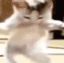 w_catdances emoji