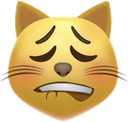 y_catlipbite emoji