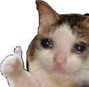 catgatomemesmemestickers32791170 emoji