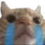7374sadcat emoji