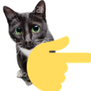9058pointingrightcat emoji