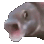 pogfishanimated emoji