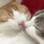 kittenkiss emoji