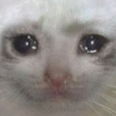 Apex_catcry emoji