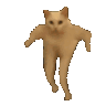 CatDanceMach emoji