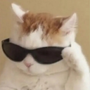 catcool emoji