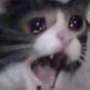 cryingcat emoji