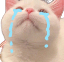 4065catcri emoji