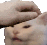 c_catpat emoji