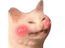 blushcat emoji