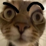 catsus emoji