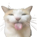 3278blehhcat emoji
