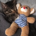 cat_sleepy emoji