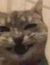 cat_demon_spawn emoji