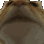 xx_zm_cat_smile emoji