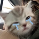 cat_cry emoji