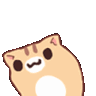 CatWiggle emoji