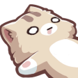 CatKnocked emoji
