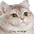 catshake emoji