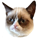 grumpycat emoji