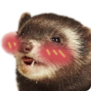 ferretuwu emoji
