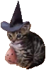 spookycat emoji