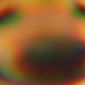 doge_xd emoji