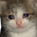cryingkitten emoji