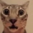 bcatshock emoji
