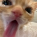 bcatyom emoji
