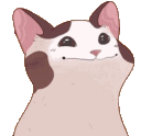 PogCatAnimated emoji