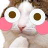 cat_flushed emoji