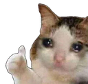 9069sadcatthumbsup emoji