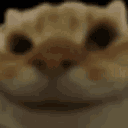 catnod emoji