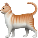 a_ioscat emoji