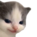 acatnohehe emoji