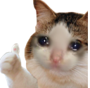 catokay emoji