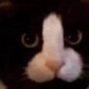 t7msmemecatpenis emoji