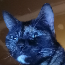 ConstipationCat emoji