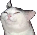 tq5smugcat emoji